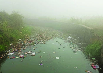 डम्पिंग ग्राऊंड अभावी कचरा रस्त्यावर