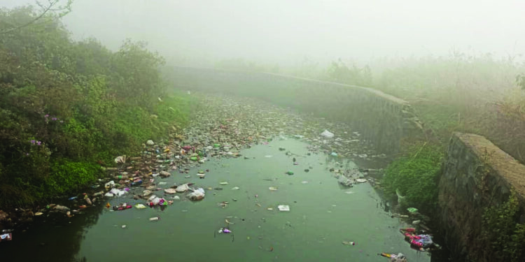 डम्पिंग ग्राऊंड अभावी कचरा रस्त्यावर