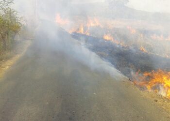 रस्त्यालगत वणव्यांमुळे अपघात वाढले