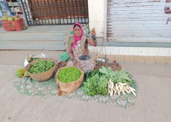 भाड्याच्या जमिनीवर कष्टाचा घाम