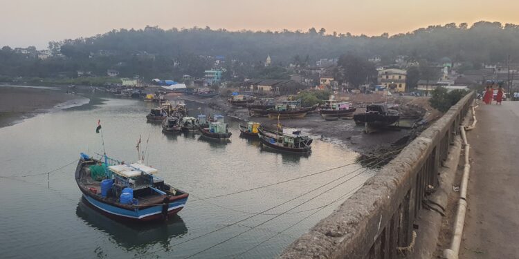 मासळीचा दुष्काळ, मच्छिमार हवालदिल