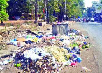 गावातील कचरा रस्त्यांवर