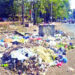 गावातील कचरा रस्त्यांवर