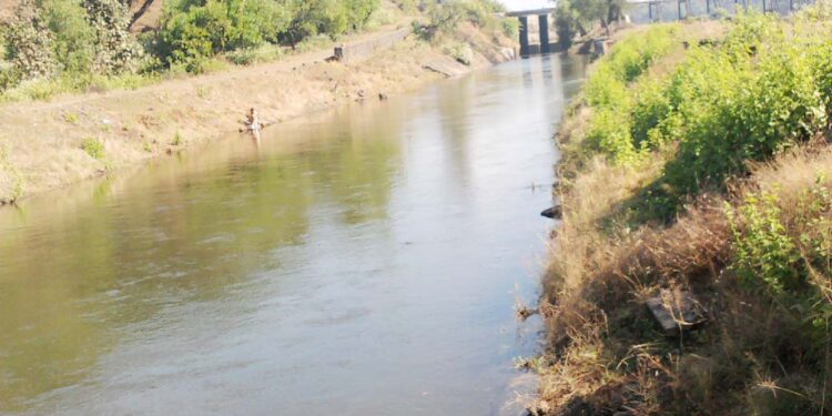 कालवा सफाईचा शेतीला फटका