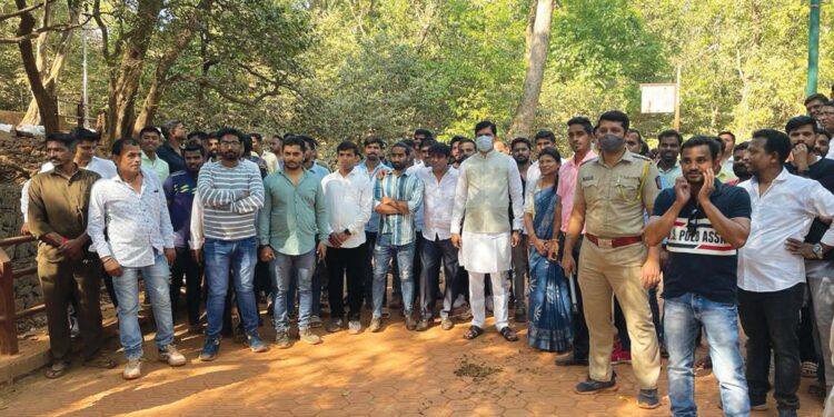 माथेरानमधील अन्य रोजगार ई-रिक्षाने बुडणार नाही