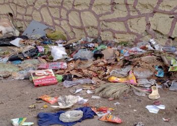 नवी मुंबईत अनेक ठिकाणी अस्वच्छता