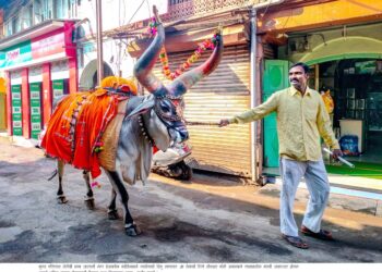 मुरुडला अवतरला गुबूगुबू नंदीबैल