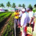 शेतकर्‍यांचा शेती विषयक अभ्यास दौरा
