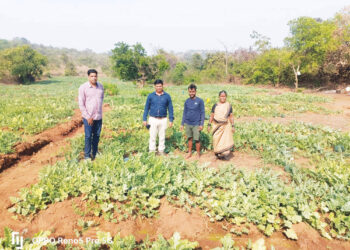 पन्हेळी येथे युवा शेतकर्‍यांचा उपक्रम