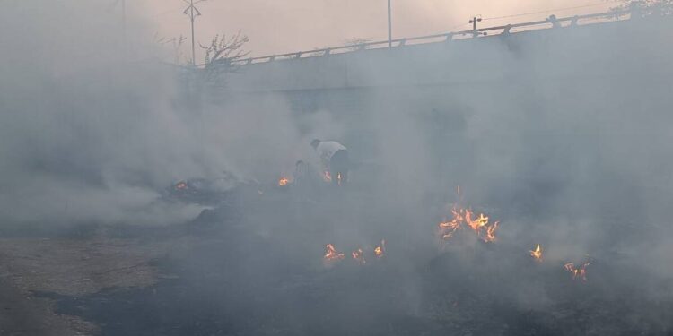 बोकडविरा येथील गवताला आग