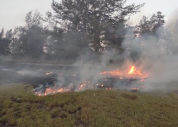आक्षी समुद्र किनार्‍यावरील सुरुच्या बनाला आग