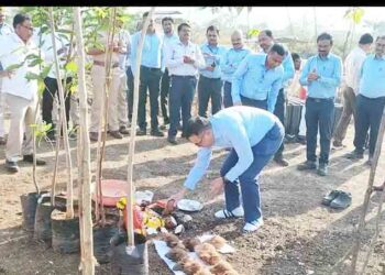 दीपक फर्टीलायझरकडून वृक्षारोपण
