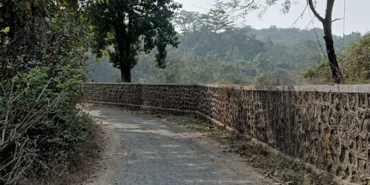 वारे-देवपाडा रस्त्याच्या बाजूने अतिक्रमण; स्थानिकांची बांधकाम विभागाकडे तक्रार