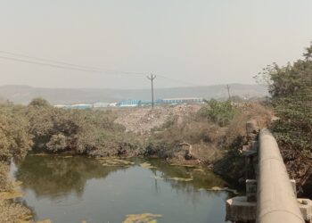 खाडीत डेब्रिजचा भराव; पर्यावरणासह कांदळवनाला धोका