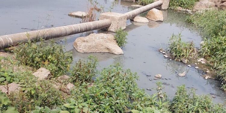 हॉटेलचे सांडपाणी पाताळगंगा नदीत