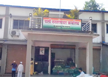 पाली शहराचा विकास होणार कधी?