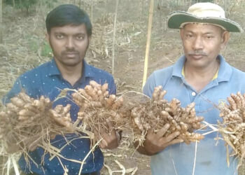 मातीशी एकरूप झालेल्या शेतकर्‍याची यशगाथा