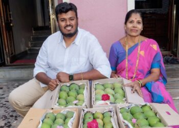 रायगडचा हापूस आला हो; पहिली पेटी एपीएमसीमध्ये