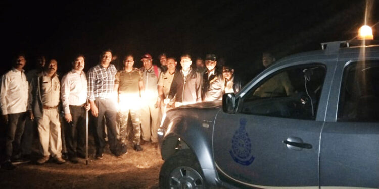 रानगव्याने वन विभागाला पळविले