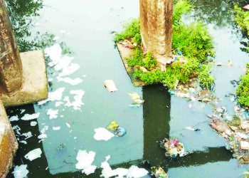 पाताळगंगेचे प्रदूषण धोकादायक