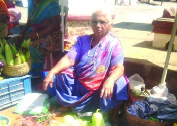 कोर्लईच्या मायने लावला लळा