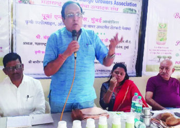 बदलत्या हवामानामुळे आंबा उत्पादन घटले