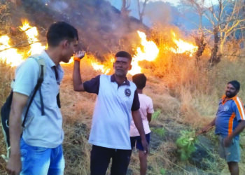 सरसगडावर वणवा वनसंपदा भस्म