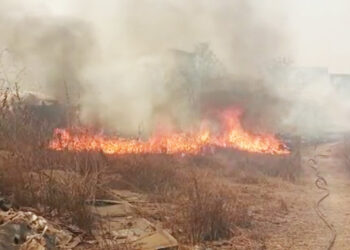 वणव्यामुळे कंपनी परिसरात आग