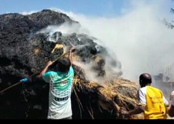 पेंढ्यांच्या माचाला आग