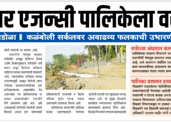 कृषीवल दणका: अखेर त्या जाहिरात फलकाचा सांगाडा हटवला