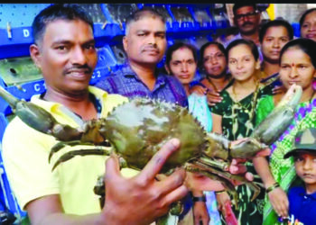 खेकडा शेतीतून लाखोंची कमाई