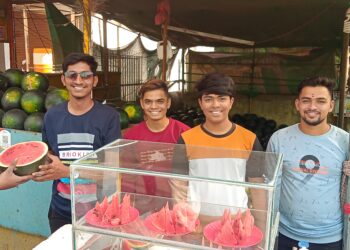 उन्हाळ्यातील आरोग्यवर्धक फळ कलिंगड