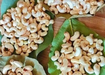 काजूगराची आवक वाढली