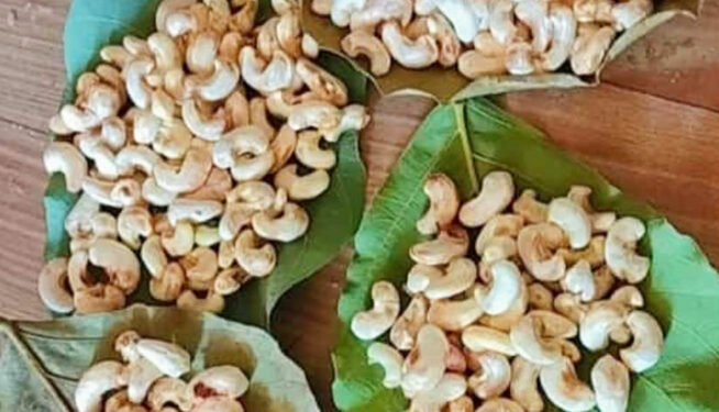 काजूगराची आवक वाढली