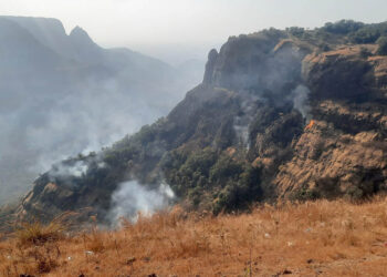 वाचविण्यासाठी मोहीमेची आवश्यकता