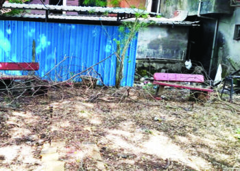 बालोद्यानाला अखेरची घरघर