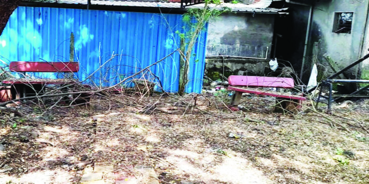 बालोद्यानाला अखेरची घरघर