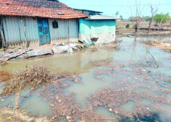 शेतीच्या नुकसानीची भरपाई द्या