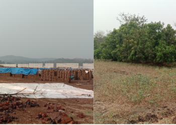 अवकाळीमुळे वीट व्यावसायिकांबरोबर बागायतीचे व पिकांचे नुकसान