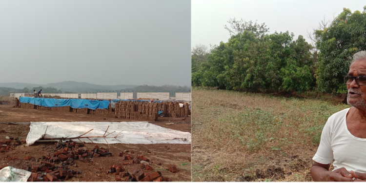 अवकाळीमुळे वीट व्यावसायिकांबरोबर बागायतीचे व पिकांचे नुकसान