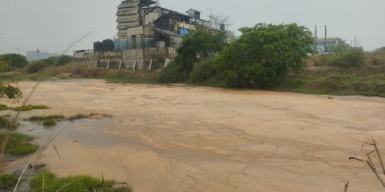 कासाडी नदीला प्रदूषणाचा विळखा कायम