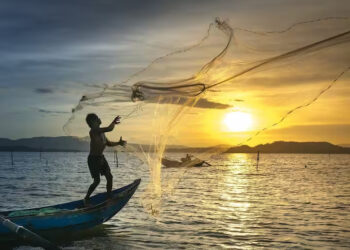 मासेमार कुटुंबांच्या कल्याणासाठी ५० कोटींचा मत्स्यविकास कोष