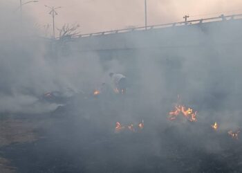 बोकडविरा येथील गवताला आग