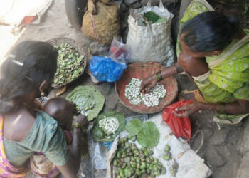 ओले काजूगर खरेदीसाठी लगबग