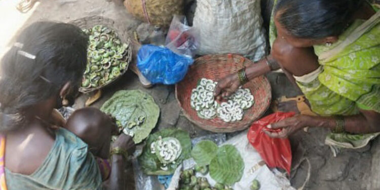 ओले काजूगर खरेदीसाठी लगबग