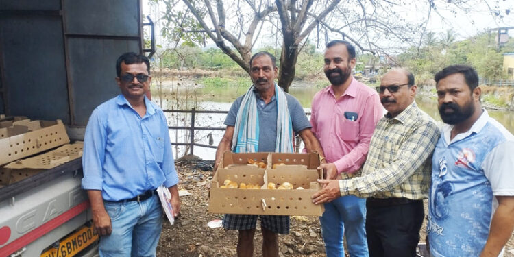 ग्रामीण महिलांना कुक्कुट पिल्लांचे वाटप