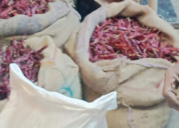 लाल मिरचीला दरवाढीचा तडका