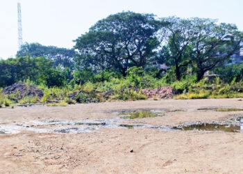 पाली बसस्थानकाचा प्रश्‍न निकाली काढणार: देसाई