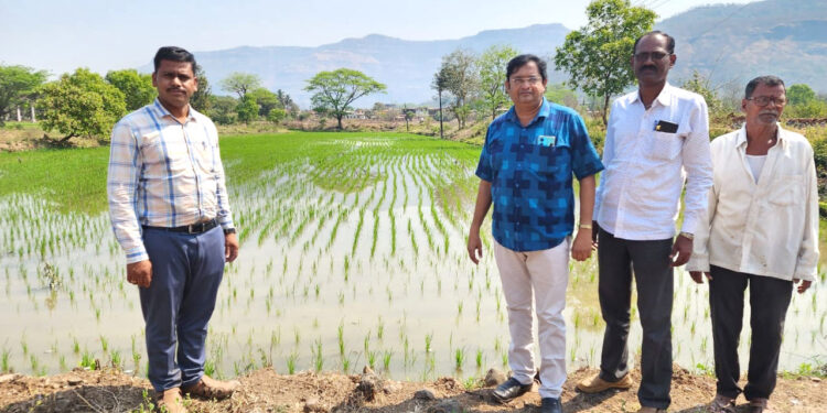 कर्जत तालुक्यात समूह शेतीतून प्रगती