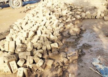 अवकाळीमुळे धंदा मातीमोल